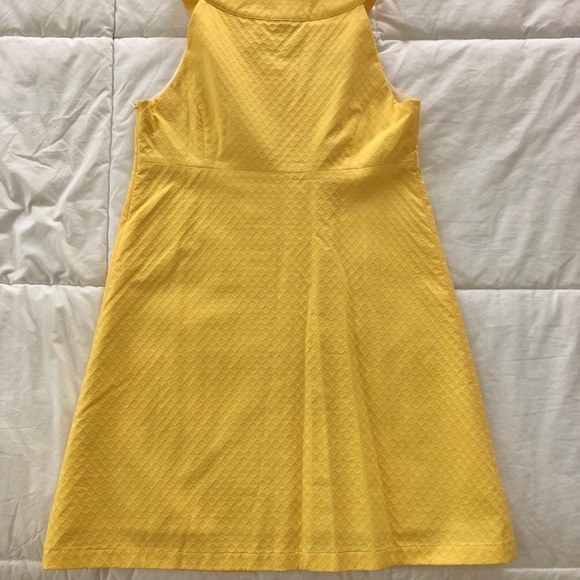 Lilly Pulitzer ‘Jacqueline’ Shift Dress - Picture 7 of 7